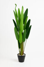 درختچه-برگ‌بهشتی-مصنوعی-باریک-1