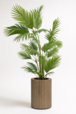 درختچه-نخل-کنتیا-چندتنه-پلاستیکی-کم-حجم--بدون-گلدان