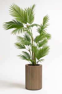 درختچه-نخل-کنتیا-چندتنه-پلاستیکی-کم-حجم--بدون-گلدان-200