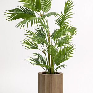 درختچه-نخل-کنتیا-چندتنه-پلاستیکی-کم-حجم--بدون-گلدان