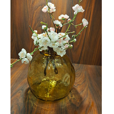 گلدان شیشه‌ای شفاف متوسط با رنگبندی .N