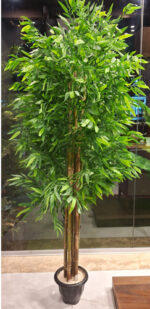 درختچه-بامبو-با-تنه‌های-طبیعی-2-N-