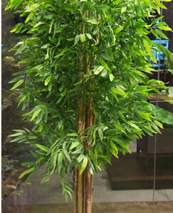 درختچه-بامبو-با-تنه‌های-طبیعی-2-N-