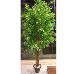 درختچه-بامبو-با-تنه‌های-طبیعی-N-1